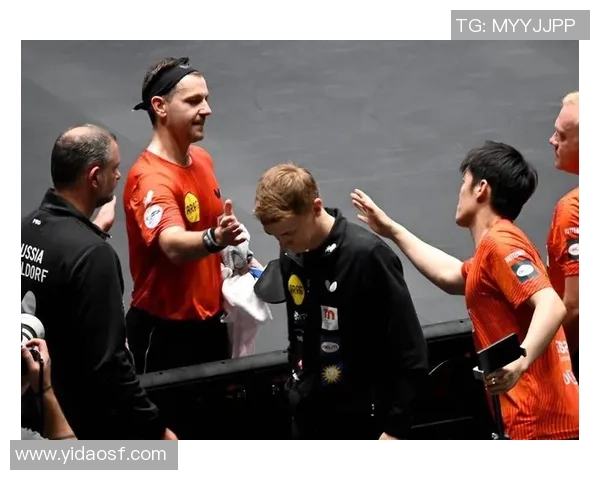 马琳与波尔在奥运赛场的巅峰对决与乒乓球传奇的传承之路