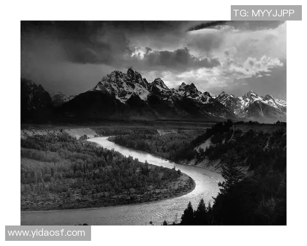 亚当斯的传奇人生与影响力探讨：从科学到文化的多重视角