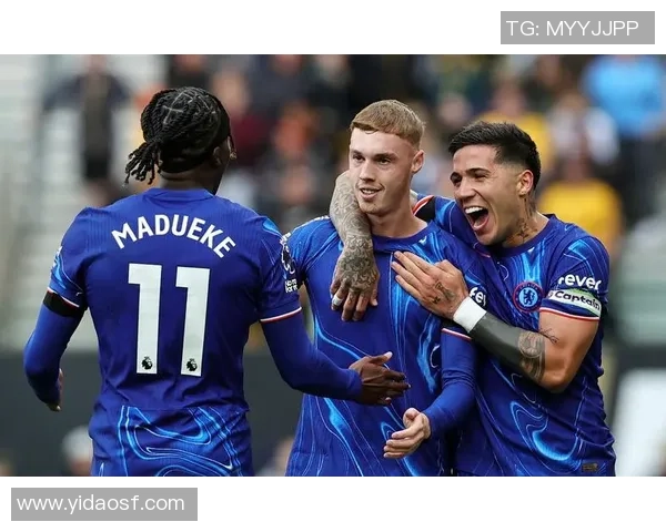 伯明翰与狼队对决分析谁将赢得这场英超焦点之战