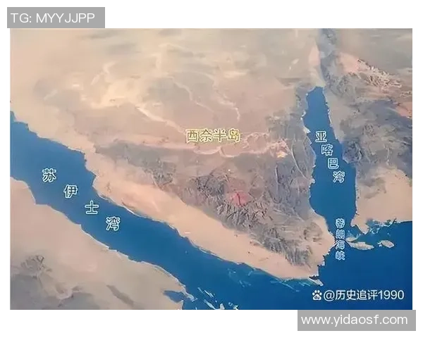 沙特与埃及贸易往来分析及其对双方经济盈亏的影响探讨