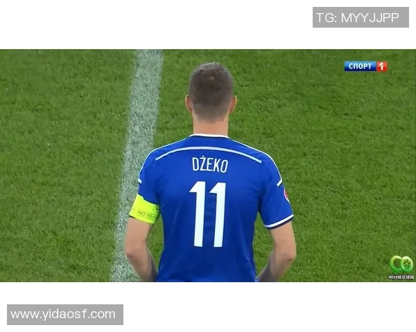 波黑对阵威尔士精彩直播全程回顾及赛后分析