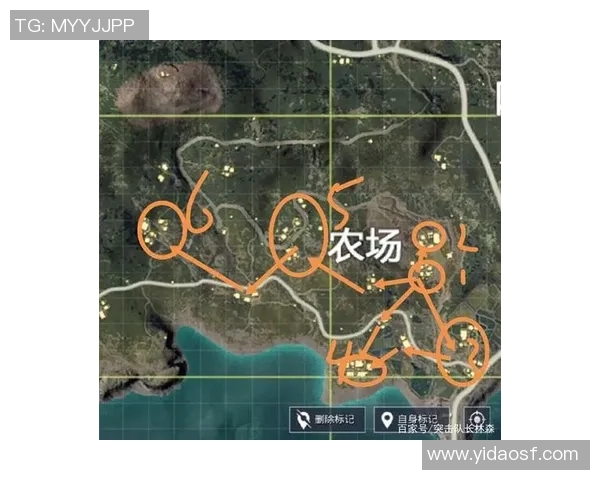 和平精英战队LNG灵活战术分析与实战应用探讨MBA