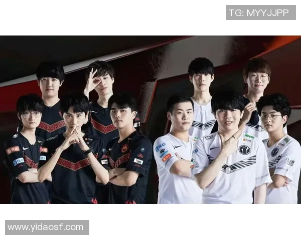 FPX在精英赛中的比赛经验与表现分析及启示