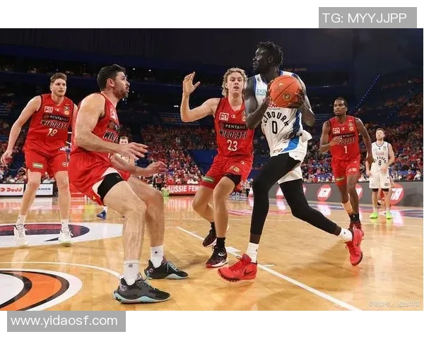 东南墨尔本凤凰迎战珀斯野猫争夺澳洲篮球联赛季后赛资格