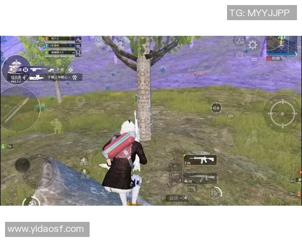 和平精英巨献:深入解析LNG团队协作与战术配合的奥秘