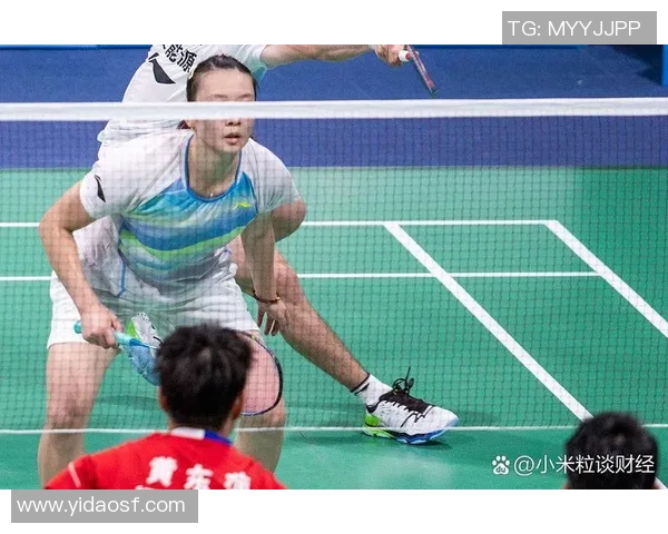 杭州羽毛球队的节奏分析与未来发展方向探讨