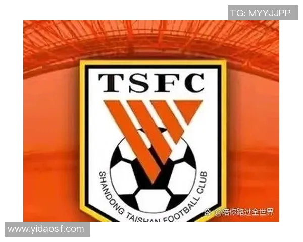 萨尔基与斯帕尼斯的精彩对决揭示了足球战术的新趋势与发展潜力