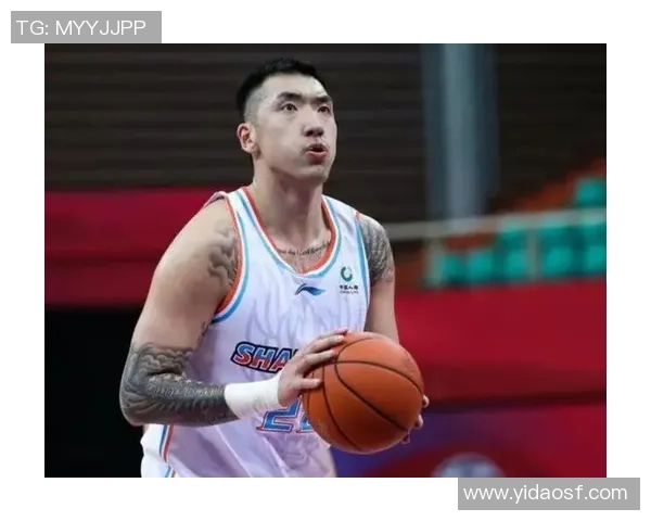 陶汉林：从篮球场上的拼搏者到社会责任的践行者之路