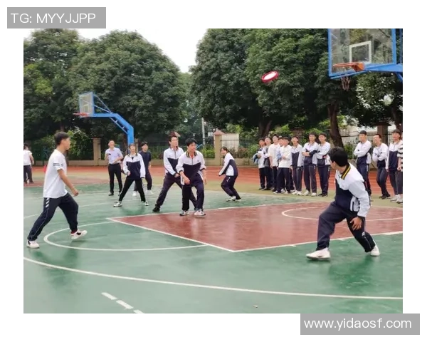 重庆飞盘队心理素质深度解析与训练策略探讨