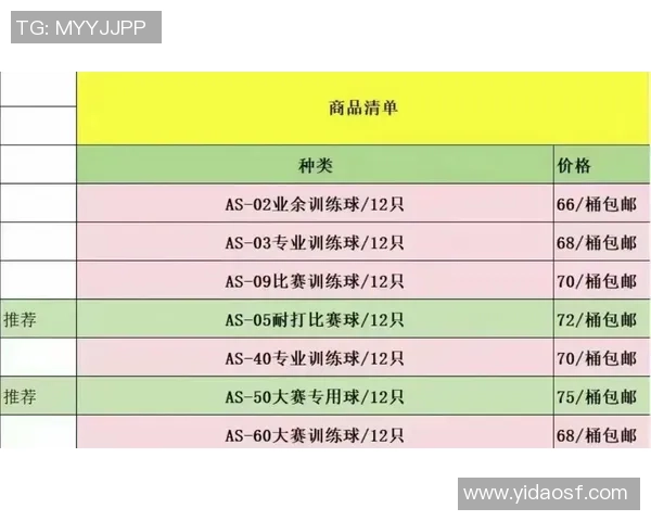 南京羽毛球队控制打法深度分析与战术解读