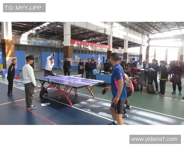 专访乒乓球名将杨军揭秘成功背后的努力与坚持